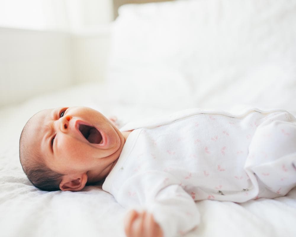 The Guardian view on falling birthrates: cash alone cannot buy belonging