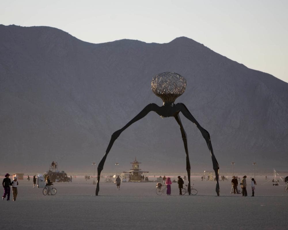 Burning Man at 40: the once anarchic desert festival faces a midlife crisis