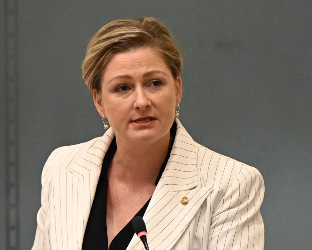 Embattled Queensland minister Amanda Camm quits Crisafulli frontbench citing health and safety reasons 