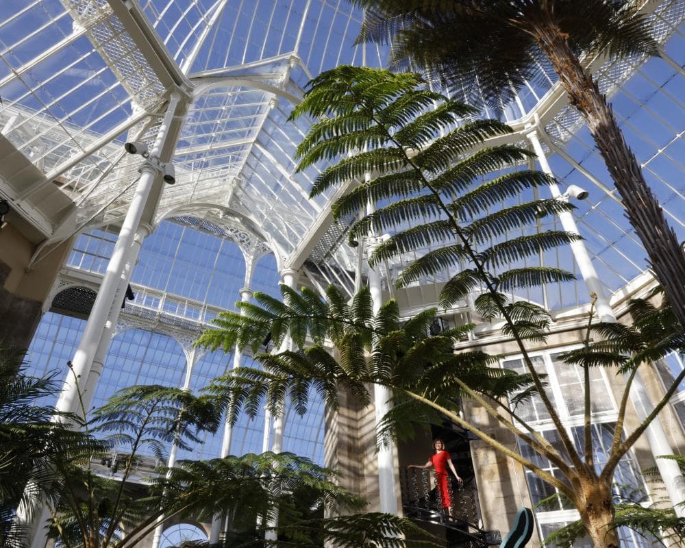 Falling glass and ‘decapitated’ plants: the race to protect Edinburgh botanic garden’s plants 