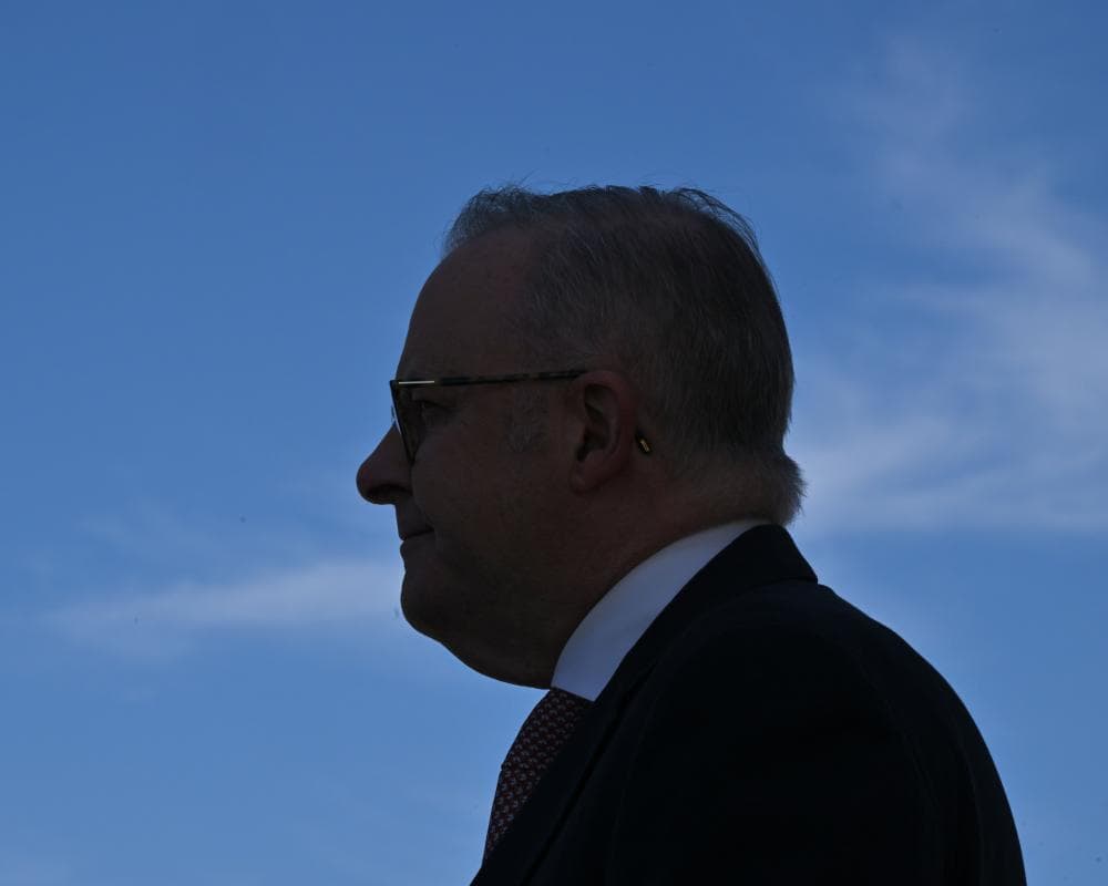 Shoebridge pledges Greens members will ‘have a say’ in next leader – as it happened
