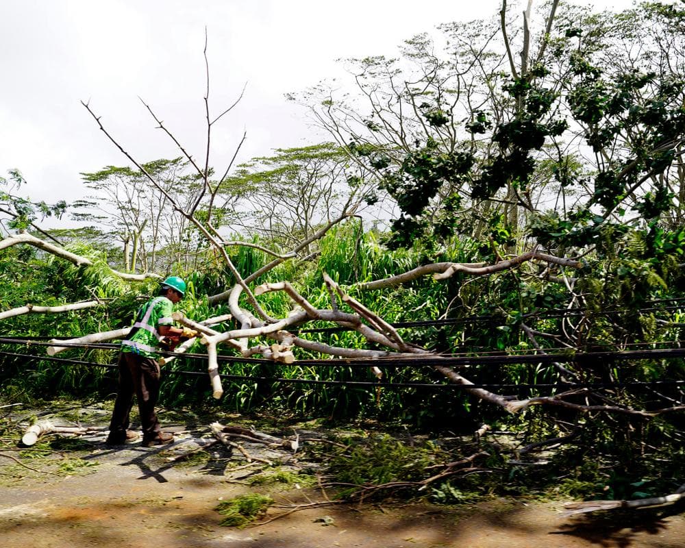 Hawaii’s western islands see significant damage as Hurricane Lowell passes by