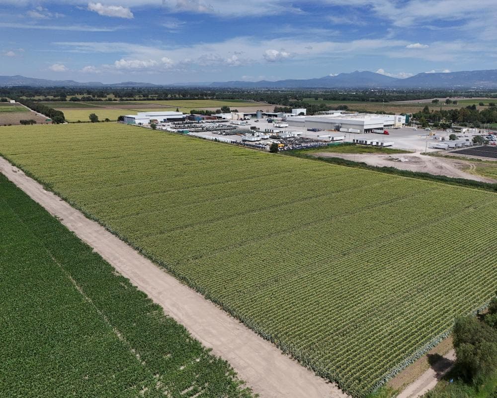 Cyclospora found at Mexican farm linked to lettuce outbreak, FDA says