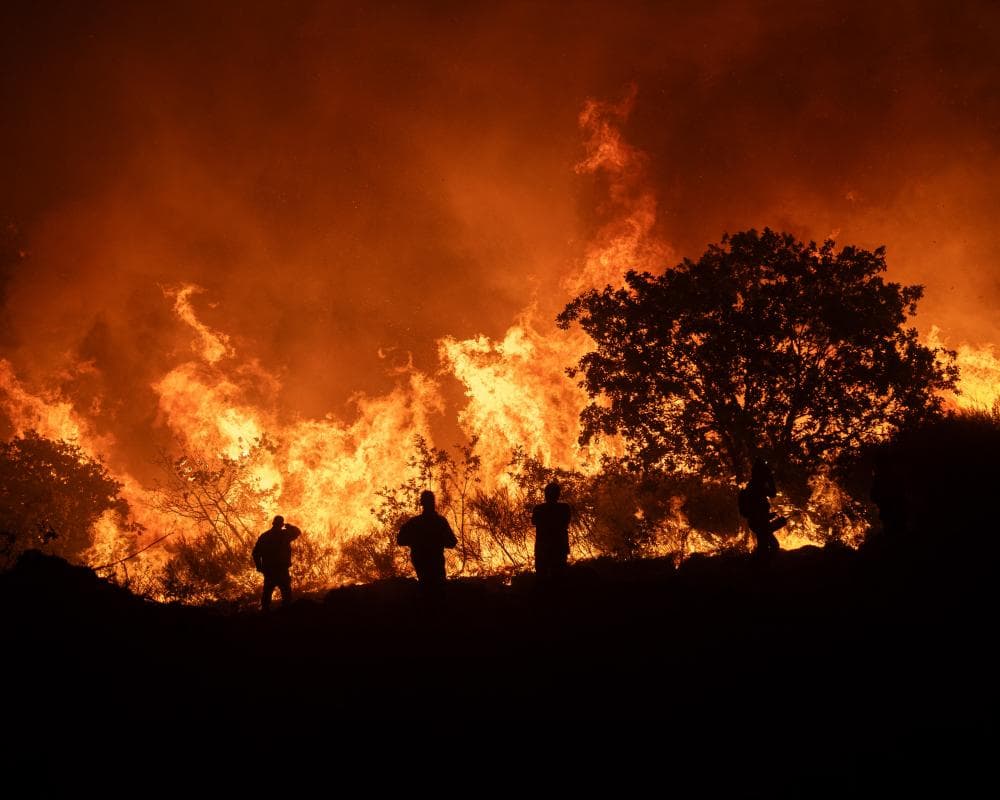 Has direct experience of a recent climate event changed your mind about the climate crisis? 
