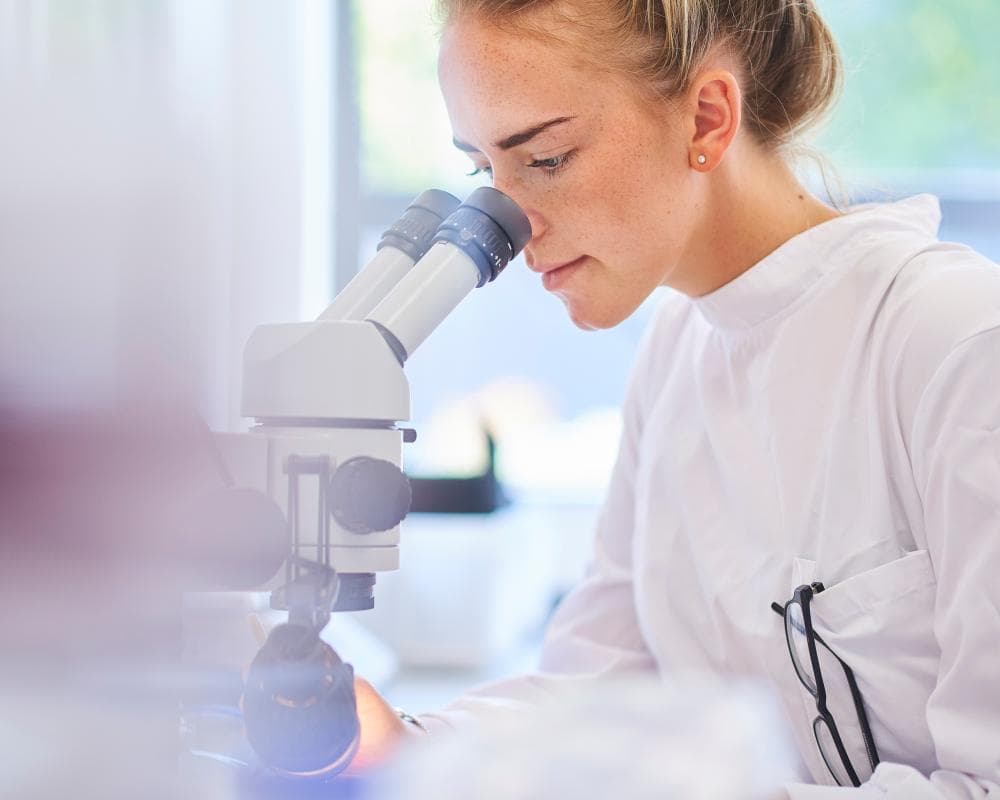 Can you futureproof your career by choosing an AI-resistant degree?