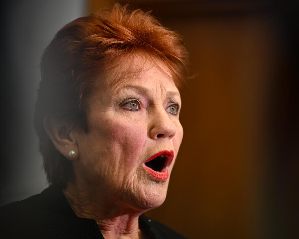Politics live: ABC calls for One Nation to ‘immediately remove’ Bluey cartoon; RBA says no recession on way