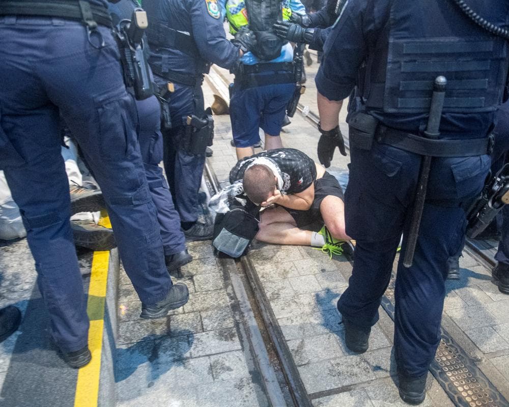 ‘Limited evidence’ of protester violence at Sydney rally against Herzog visit, police watchdog hears