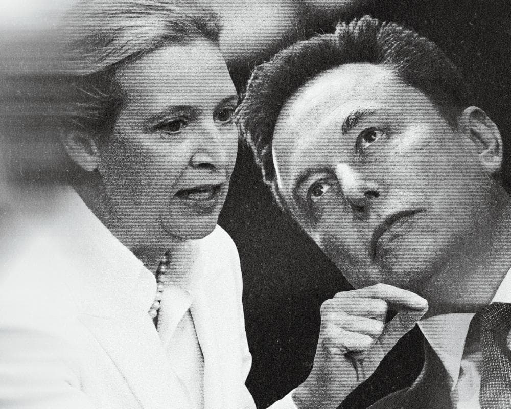 The AfD won a shock election in Germany. Elon Musk was thrilled