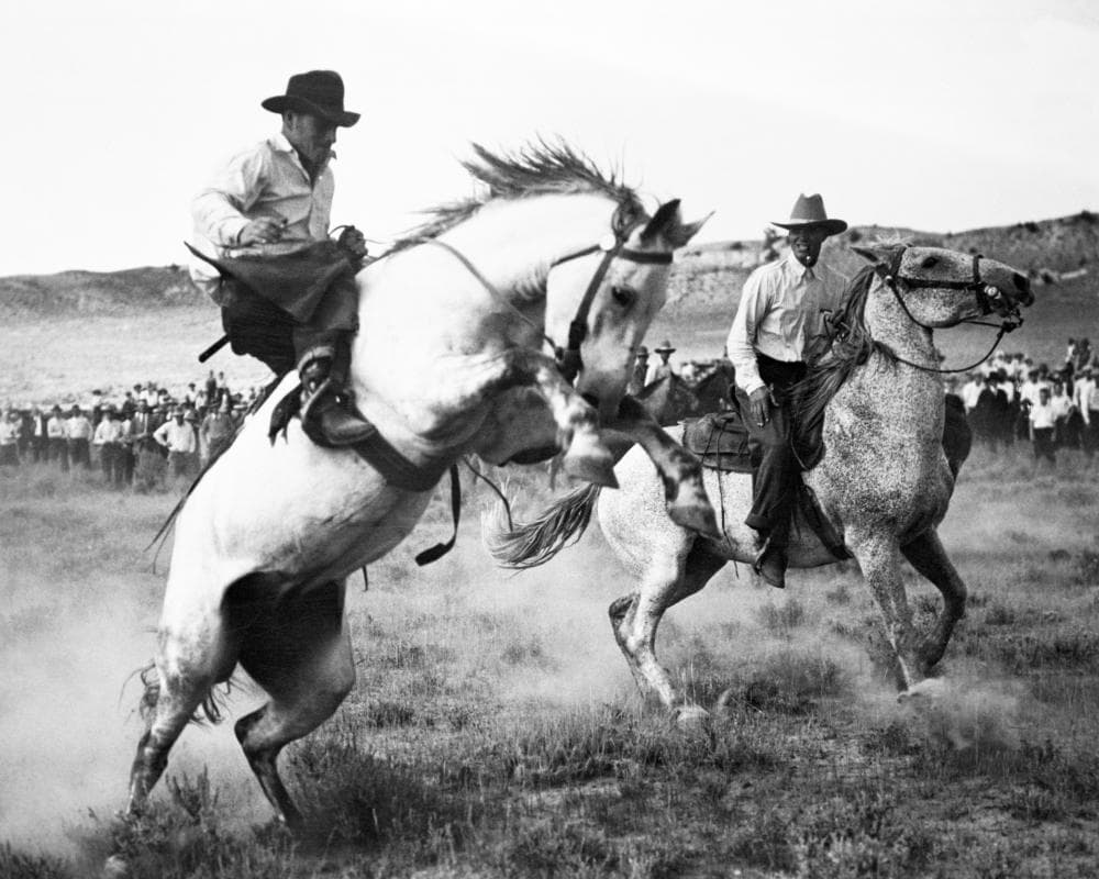 Texas had one of the biggest socialist party chapters in the country – could it come back?